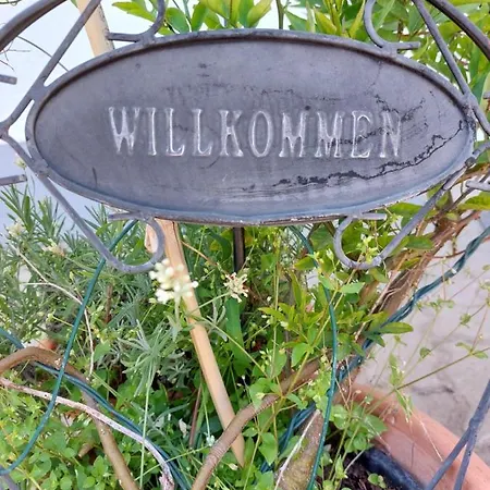 Landpartie Apartment Freckenfeld Exterior photo