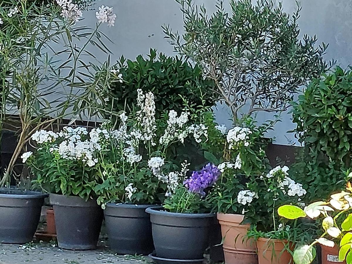 Landpartie Apartment Freckenfeld