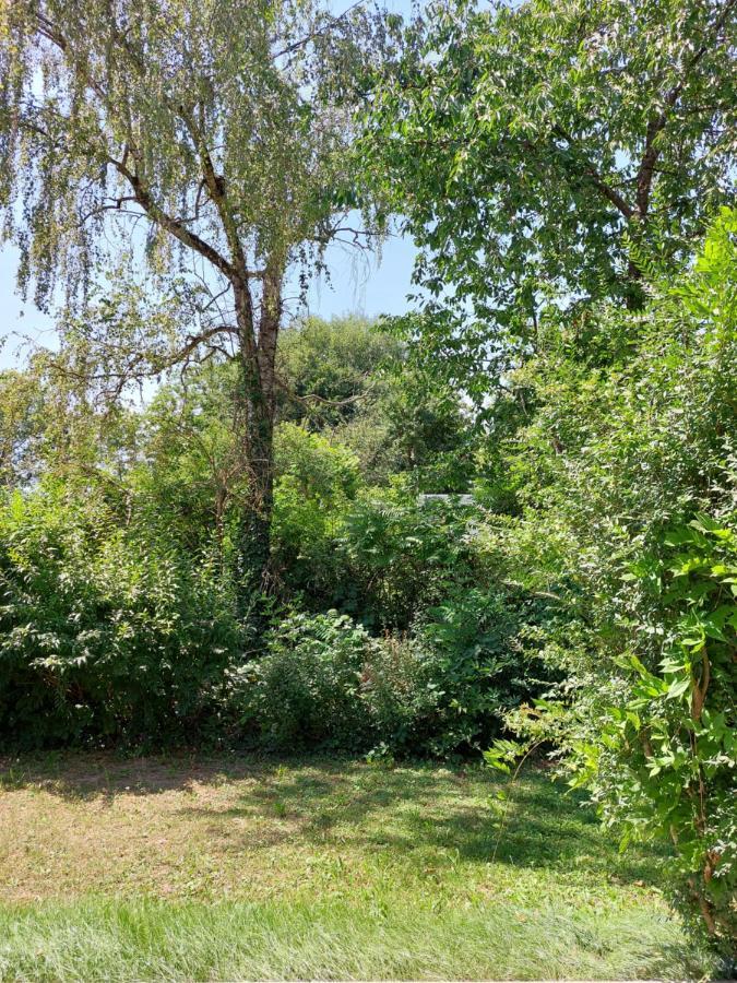 Landpartie * Freckenfeld